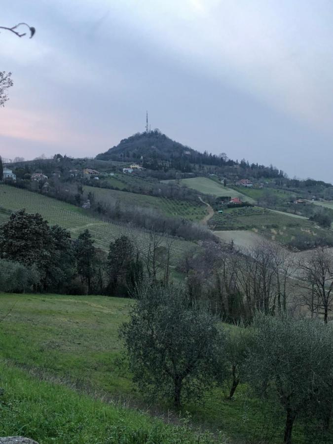 Villa 225 Bracciano  Екстер'єр фото